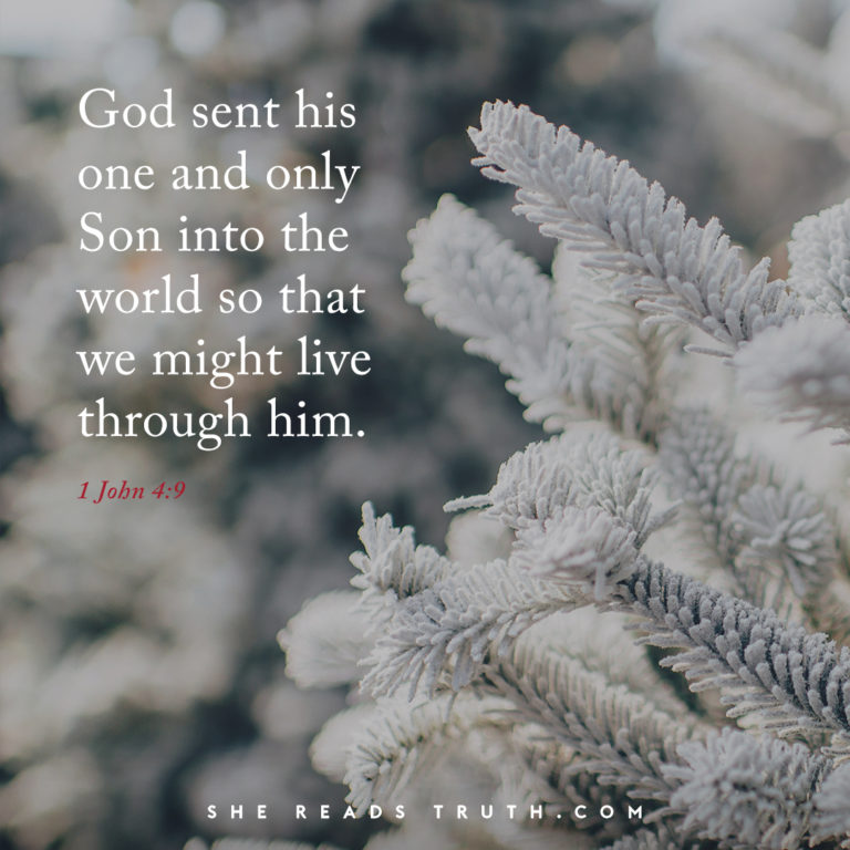5 Favorite Advent Devotionals ⋆ Kim Turner Mcculley